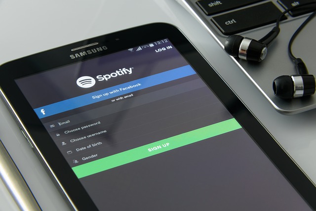 Spotify in India