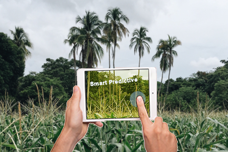 Augmented reality in Agriculture
