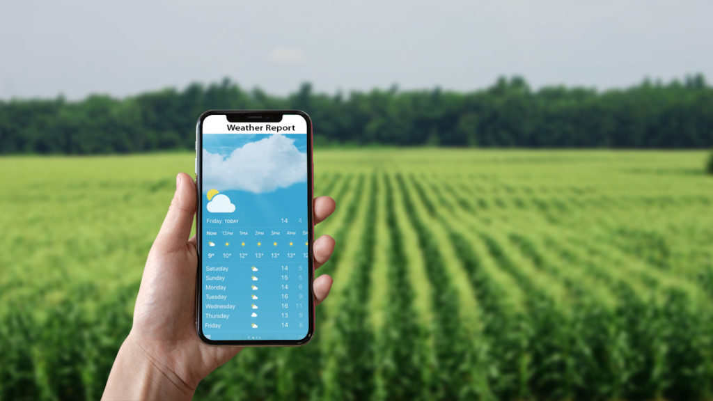 weather agriculture