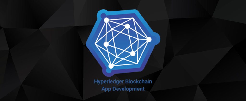 Hyperledger Development Services – Queppelin